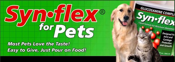 Synflex for Arthritis in Pets