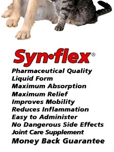 Synflex for Arthritis in Pets